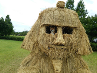 Illustration for article titled Japan's Straw Beasts Are Huge, Wonderful, and Highly Flammable